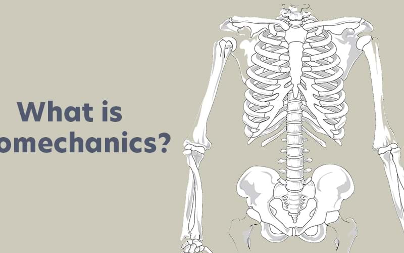 Why You Need to Know about Biomechanics